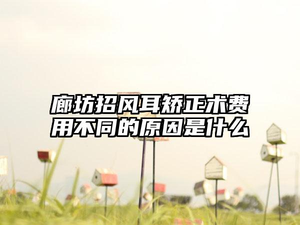 廊坊招风耳矫正术费用不同的原因是什么