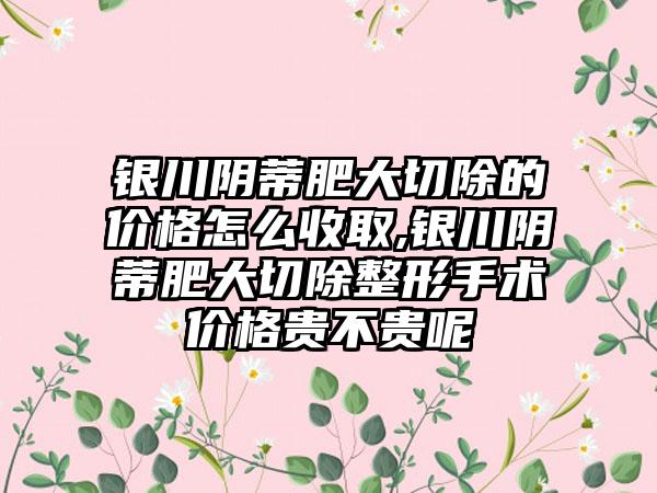 银川阴蒂肥大切除的价格怎么收取,银川阴蒂肥大切除整形手术价格贵不贵呢