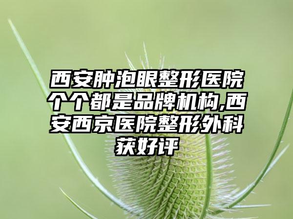 西安肿泡眼整形医院个个都是品牌机构,西安西京医院整形外科获好评