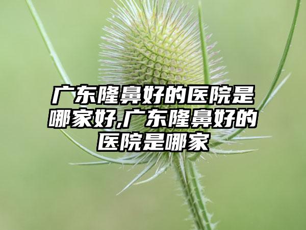 广东隆鼻好的医院是哪家好,广东隆鼻好的医院是哪家