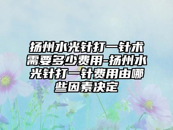 扬州水光针打一针术需要多少费用-扬州水光针打一针费用由哪些因素决定