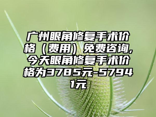 广州眼角修复手术价格（费用）免费咨询,今天眼角修复手术价格为3785元-57941元