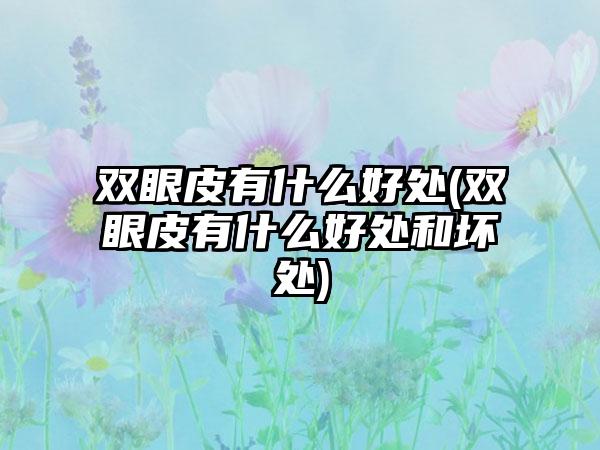 双眼皮有什么好处(双眼皮有什么好处和坏处)