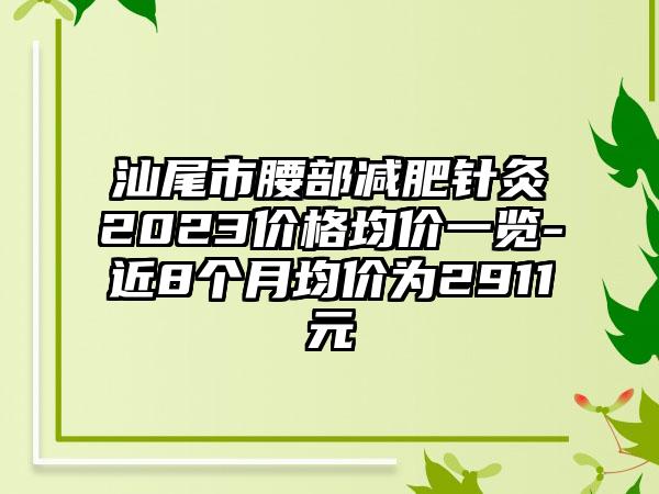 汕尾市腰部减肥针灸2023价格均价一览-近8个月均价为2911元