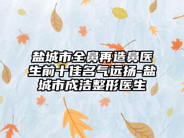 盐城市全鼻再造鼻医生前十佳名气远扬-盐城市成洁整形医生