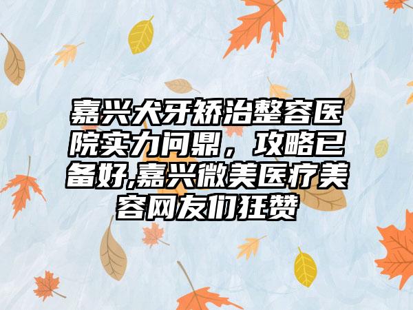 嘉兴犬牙矫治整容医院实力问鼎，攻略已备好,嘉兴微美医疗美容网友们狂赞