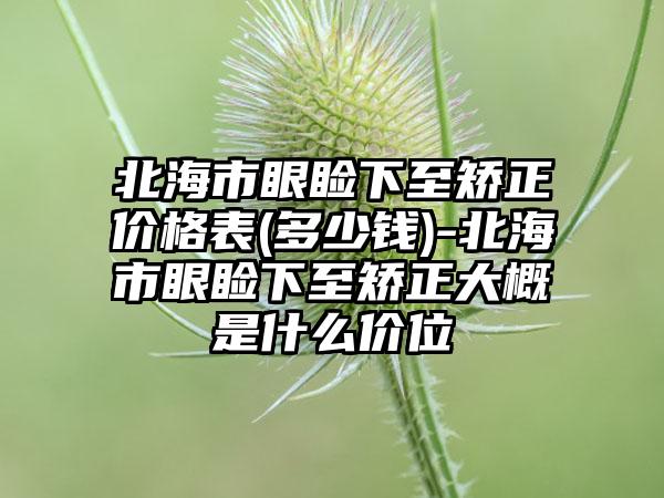 北海市眼睑下至矫正价格表(多少钱)-北海市眼睑下至矫正大概是什么价位