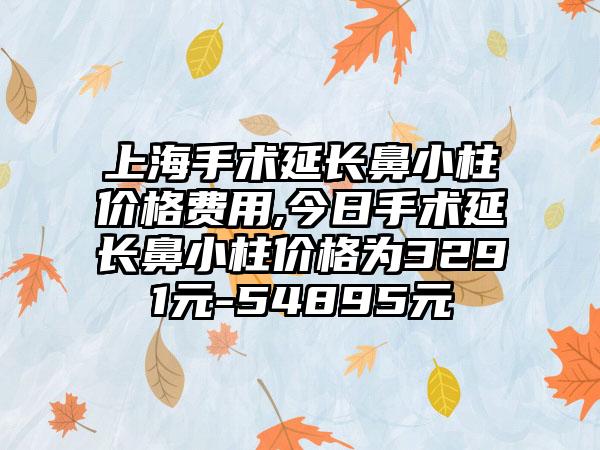 上海手术延长鼻小柱价格费用,今日手术延长鼻小柱价格为3291元-54895元