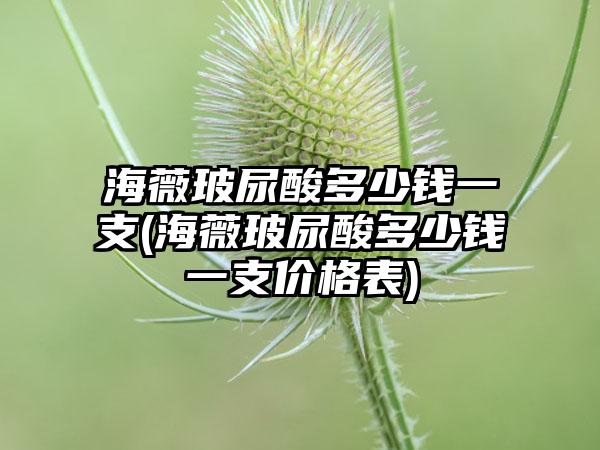 海薇玻尿酸多少钱一支(海薇玻尿酸多少钱一支价格表)