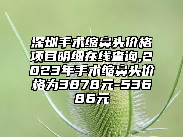 深圳手术缩鼻头价格项目明细在线查询,2023年手术缩鼻头价格为3878元-53686元