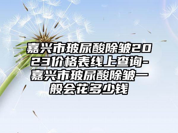 嘉兴市玻尿酸除皱2023价格表线上查询-嘉兴市玻尿酸除皱一般会花多少钱