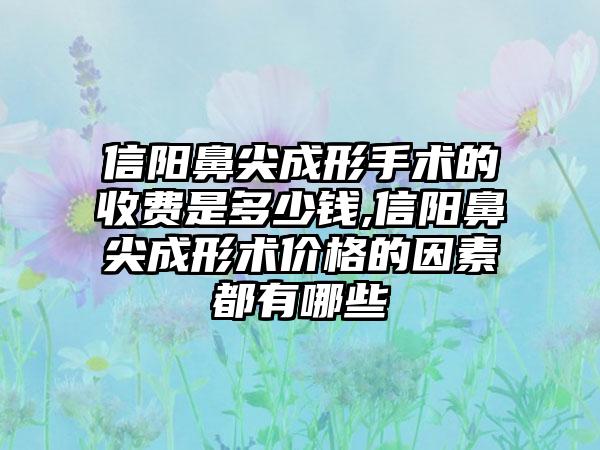 信阳鼻尖成形手术的收费是多少钱,信阳鼻尖成形术价格的因素都有哪些