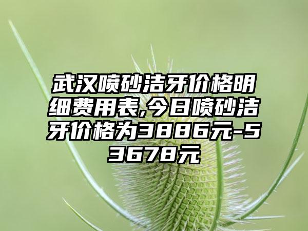 武汉喷砂洁牙价格明细费用表,今日喷砂洁牙价格为3886元-53678元