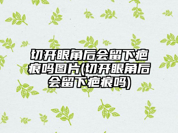 切开眼角后会留下疤痕吗图片(切开眼角后会留下疤痕吗)