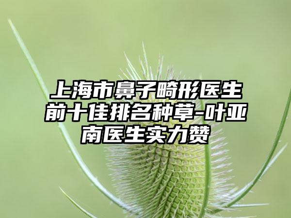 上海市鼻子畸形医生前十佳排名种草-叶亚南医生实力赞