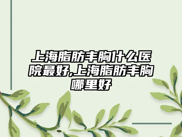 上海脂肪丰胸什么医院较好,上海脂肪丰胸哪里好