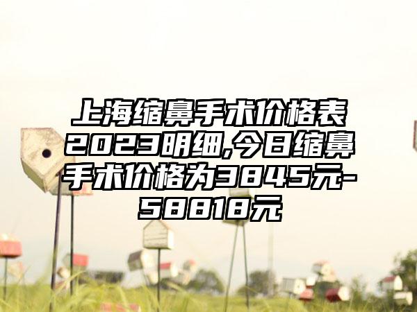 上海缩鼻手术价格表2023明细,今日缩鼻手术价格为3845元-58818元