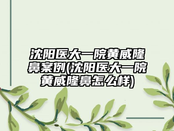 沈阳医大一院黄威隆鼻实例(沈阳医大一院黄威隆鼻怎么样)