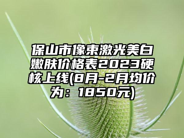 保山市像束激光美白嫩肤价格表2023硬核上线(8月-2月均价为：1850元)