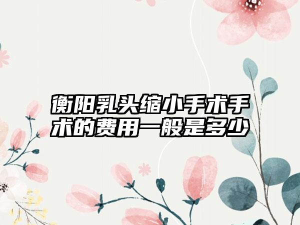 衡阳乳头缩小手术手术的费用一般是多少