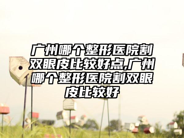 广州哪个整形医院割双眼皮比较好点,广州哪个整形医院割双眼皮比较好