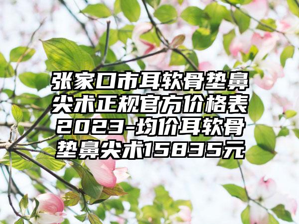 张家口市耳软骨垫鼻尖术正规官方价格表2023-均价耳软骨垫鼻尖术15835元