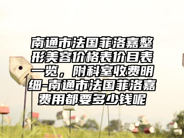 南通市法国菲洛嘉整形美容价格表价目表一览，附科室收费明细-南通市法国菲洛嘉费用都要多少钱呢