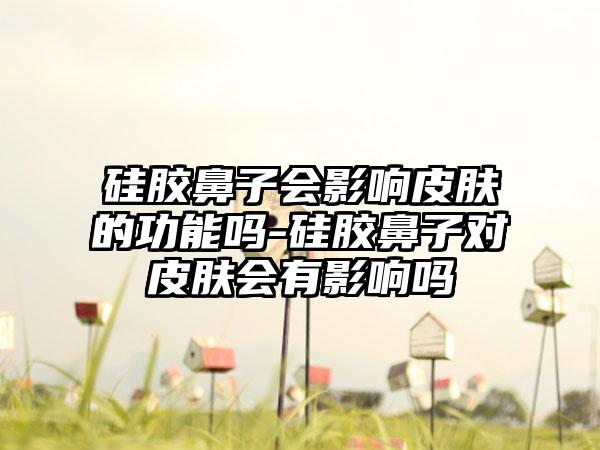 硅胶鼻子会影响皮肤的功能吗-硅胶鼻子对皮肤会有影响吗