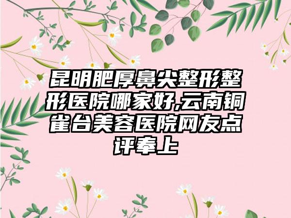 昆明肥厚鼻尖整形整形医院哪家好,云南铜雀台美容医院网友点评奉上