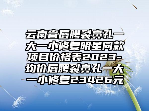 云南省唇腭裂鼻孔一大一小修复明星同款项目价格表2023-均价唇腭裂鼻孔一大一小修复23426元