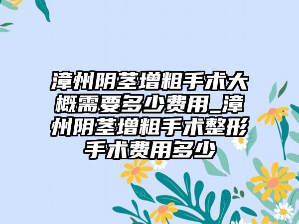 漳州阴茎增粗手术大概需要多少费用_漳州阴茎增粗手术整形手术费用多少