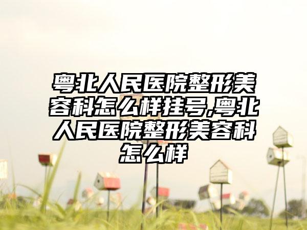 粤北人民医院整形美容科怎么样挂号,粤北人民医院整形美容科怎么样