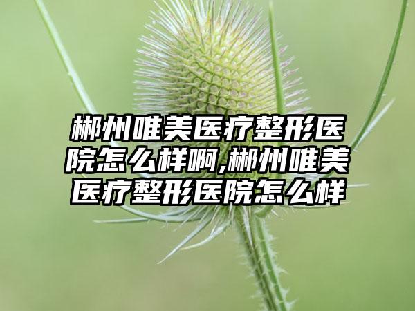 郴州唯美医疗整形医院怎么样啊,郴州唯美医疗整形医院怎么样