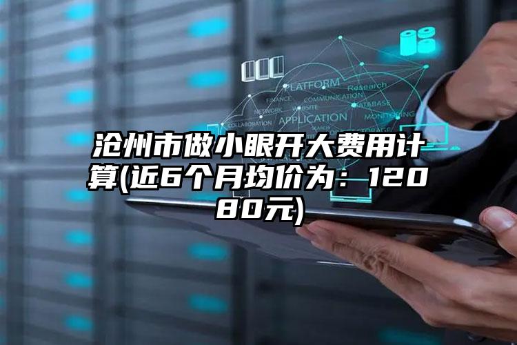 沧州市做小眼开大费用计算(近6个月均价为：12080元)