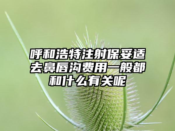 呼和浩特注射保妥适去鼻唇沟费用一般都和什么有关呢