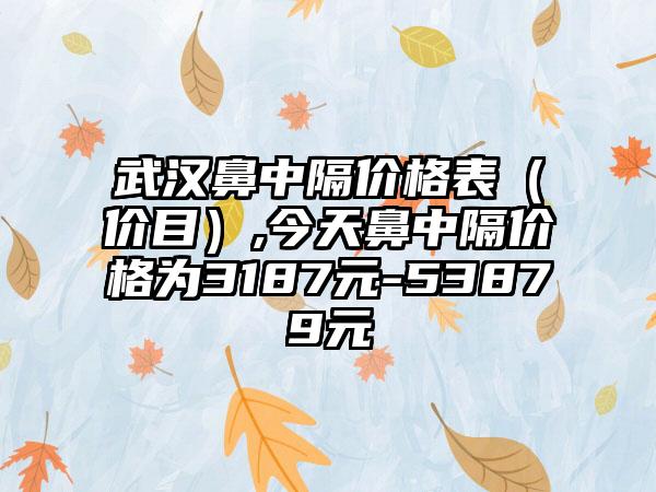 武汉鼻中隔价格表（价目）,今天鼻中隔价格为3187元-53879元