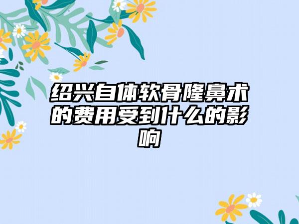 绍兴自体软骨隆鼻术的费用受到什么的影响