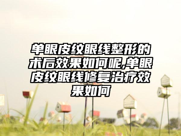 单眼皮纹眼线整形的术后成果如何呢,单眼皮纹眼线修复治疗成果如何