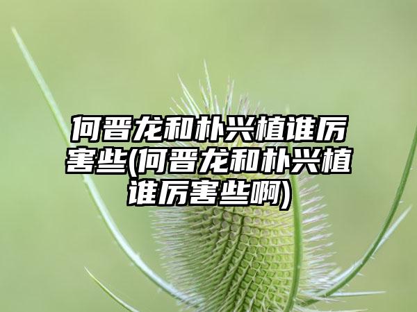 何晋龙和朴兴植谁厉害些(何晋龙和朴兴植谁厉害些啊)