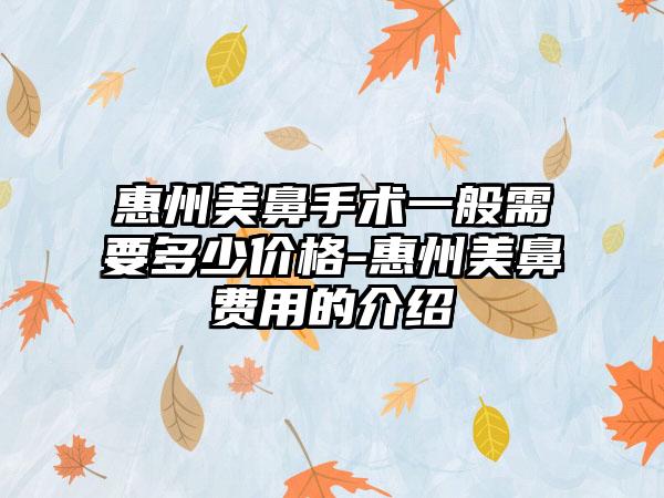 惠州美鼻手术一般需要多少价格-惠州美鼻费用的介绍