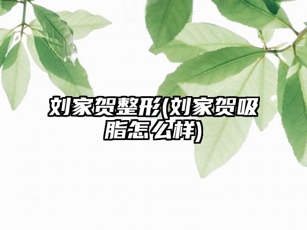 刘家贺整形(刘家贺吸脂怎么样)