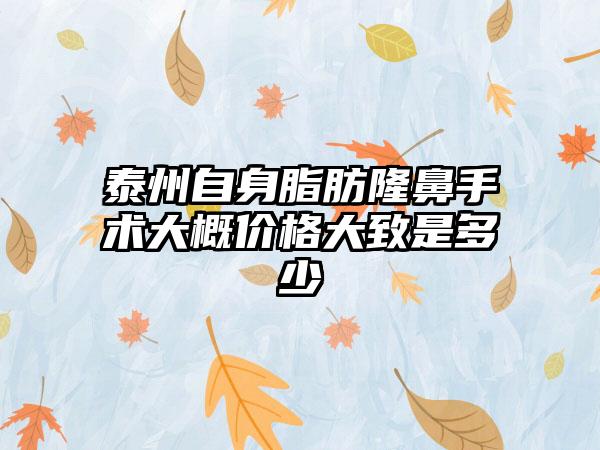 泰州自身脂肪隆鼻手术大概价格大致是多少