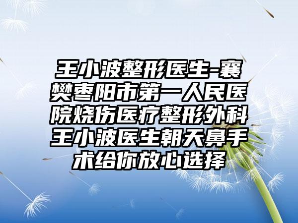 王小波整形医生-襄樊枣阳市第一人民医院烧伤医疗整形外科王小波医生朝天鼻手术给你放心选择