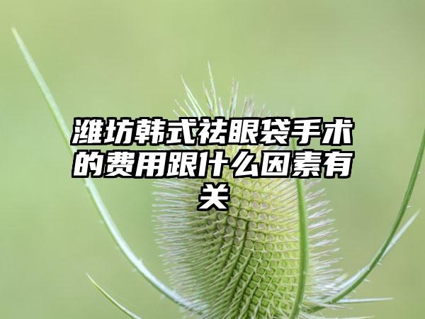 潍坊韩式祛眼袋手术的费用跟什么因素有关