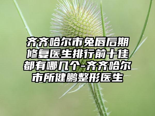 齐齐哈尔市兔唇后期修复医生排行前十佳都有哪几个-齐齐哈尔市所健鹏整形医生