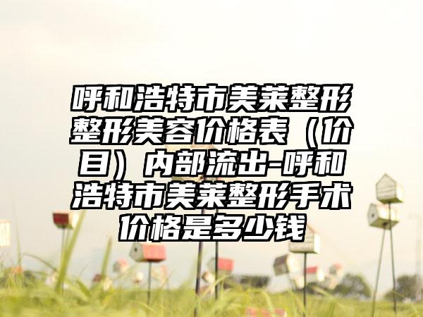 呼和浩特市美莱整形整形美容价格表（价目）内部流出-呼和浩特市美莱整形手术价格是多少钱