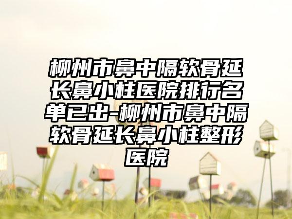 柳州市鼻中隔软骨延长鼻小柱医院排行名单已出-柳州市鼻中隔软骨延长鼻小柱整形医院