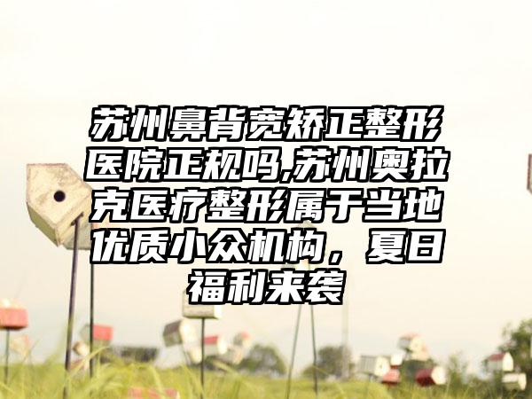 苏州鼻背宽矫正整形医院正规吗,苏州奥拉克医疗整形属于当地优质小众机构，夏日福利来袭