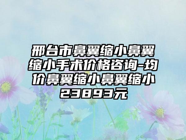 邢台市鼻翼缩小鼻翼缩小手术价格咨询-均价鼻翼缩小鼻翼缩小23893元