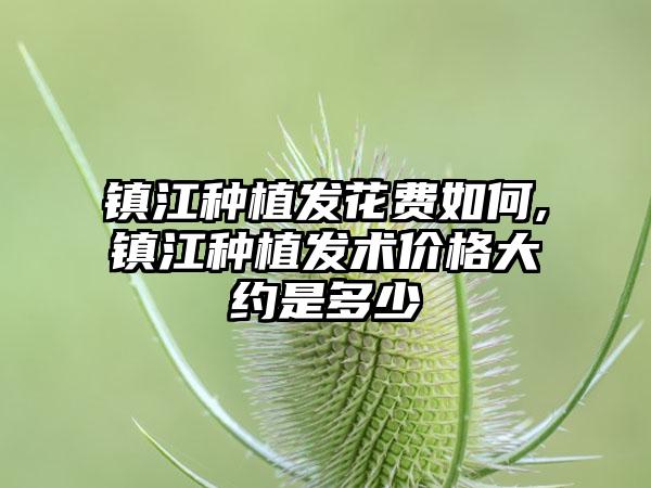 镇江种植发花费如何,镇江种植发术价格大约是多少